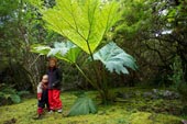 Durch den Regenwald-Radreise mit Kindern durch Patagonien-Argentinien und Chile-Axel Bauer, Wibke Raßbach Smilla und Selma