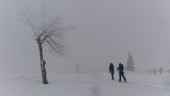 Der Kammweg im Erzgebirge im Winter mit 2 Kindern | Tschechisches Gebirge | Kammweg zu Fuß und mit Ski | abenteuerkultur